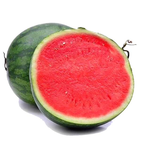 تست
