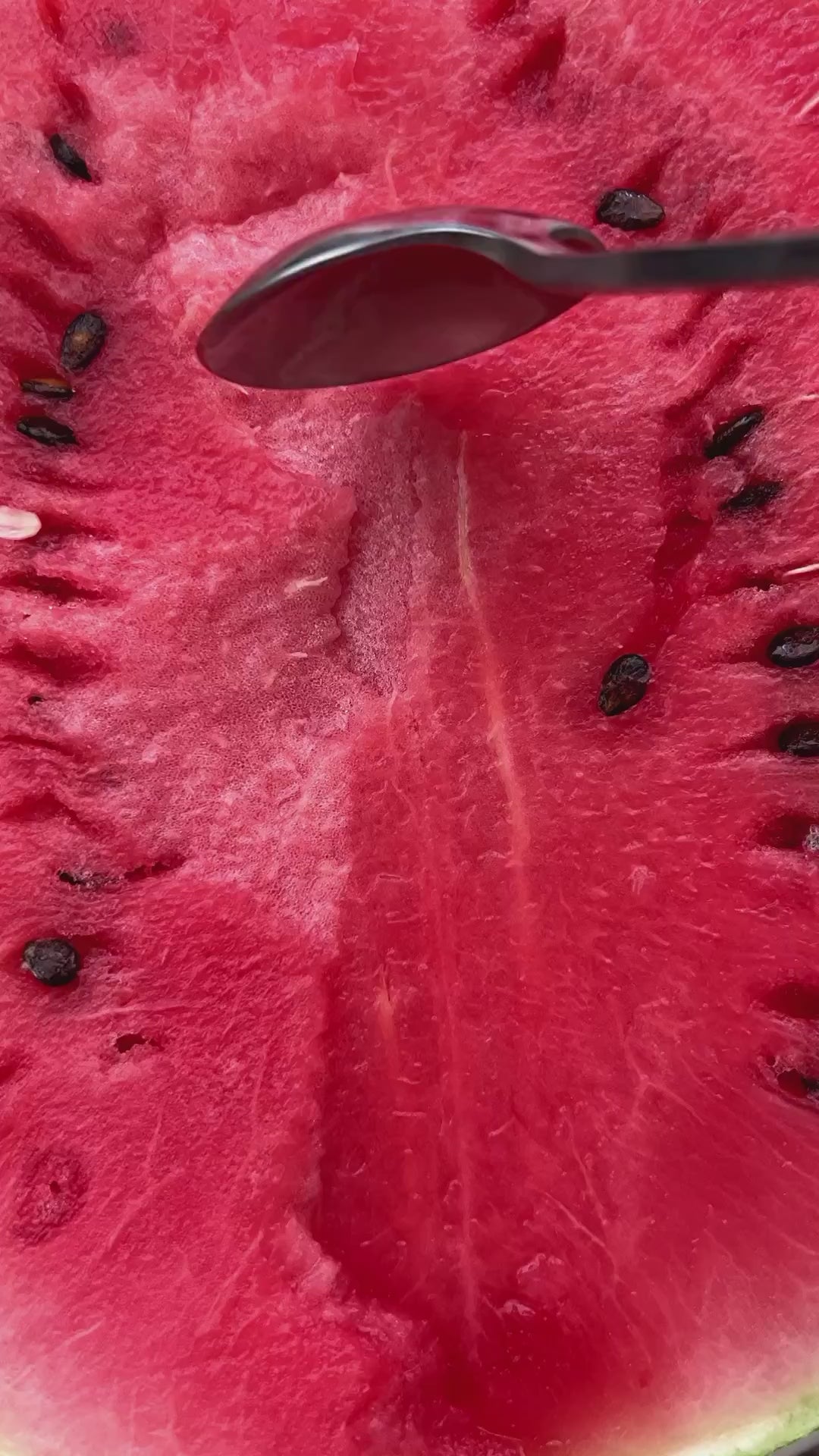 بطيخ أسواني جيزة موسم 26